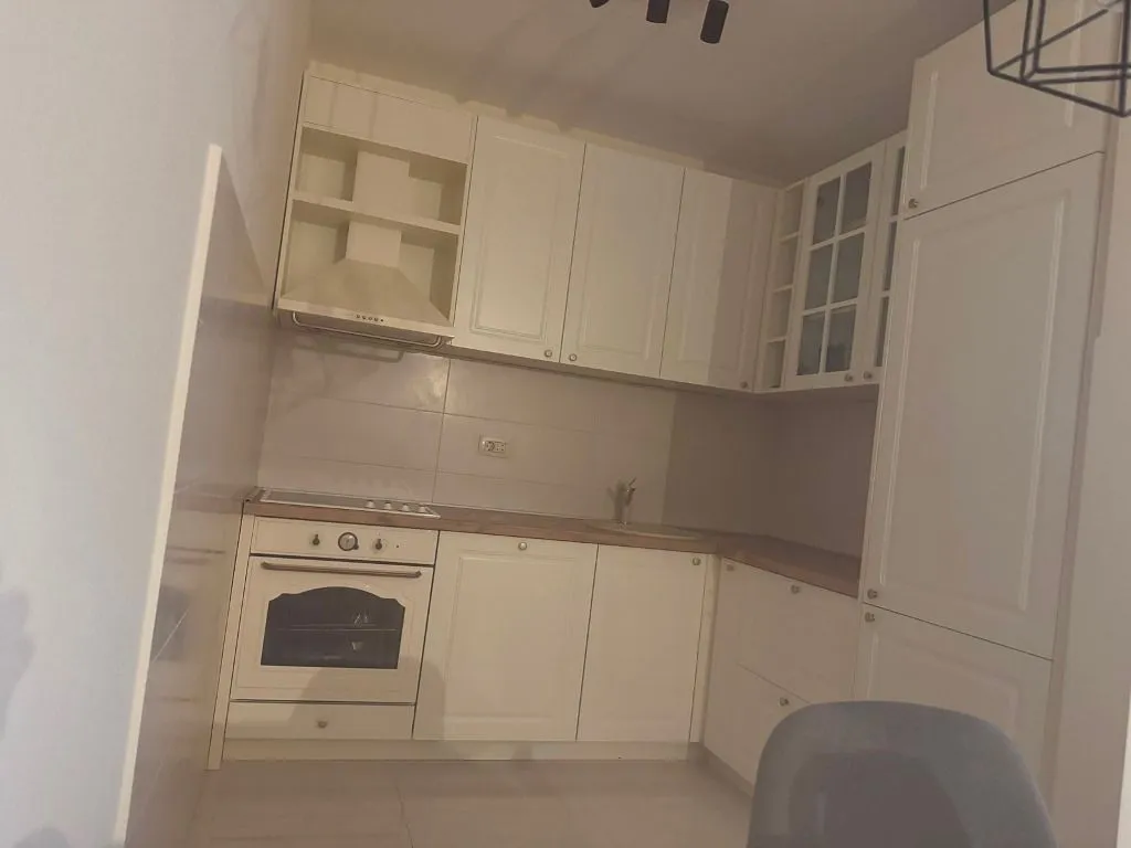 Rent, one bedroom apartment, 46m², Vezirov Most, Podgorica