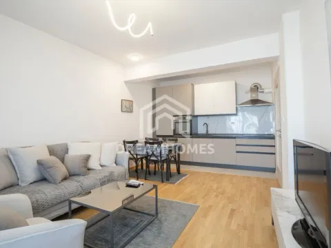 Izdavanje, jednosoban stan, 49m², Stara Varoš, Podgorica - image 2