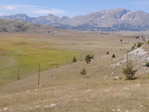 Prodaja, plac, 500m², Njegovuđa, Žabljak - image 2