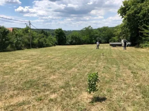 Sale, land lot, 2300m², Babe, Sopot - image 6