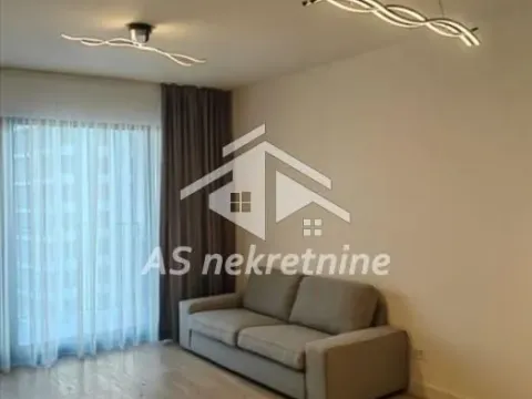 Izdavanje, dvosoban stan, 55m², Savski Venac, Beograd - image 2