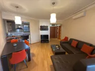 Izdavanje, jednosoban stan, 98m², Centar, Podgorica - image 1