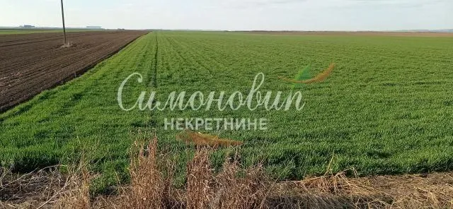 Prodaja, plac, 40000m², Centar, Inđija