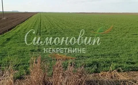 Sale, land lot, 40000m², Centar, Inđija - image 5