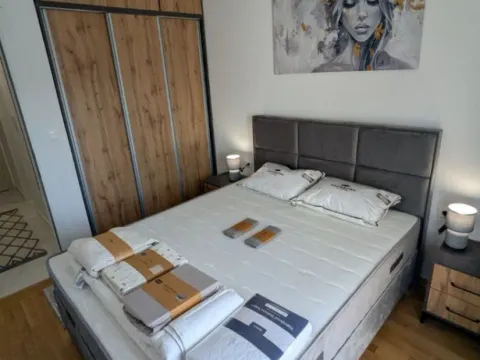 Izdavanje, jednosoban stan, 45m², Zabjelo, Podgorica - image 6