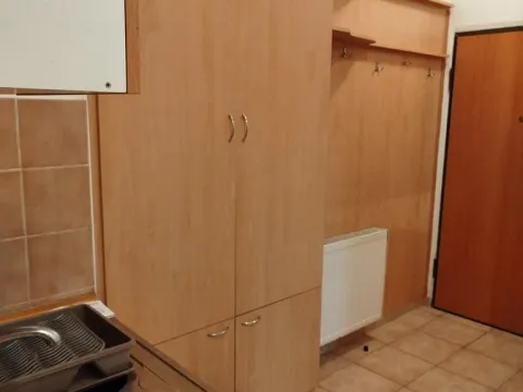 Prodaja, jednosoban stan, 33m², Novi Sad, Srbija - image 5