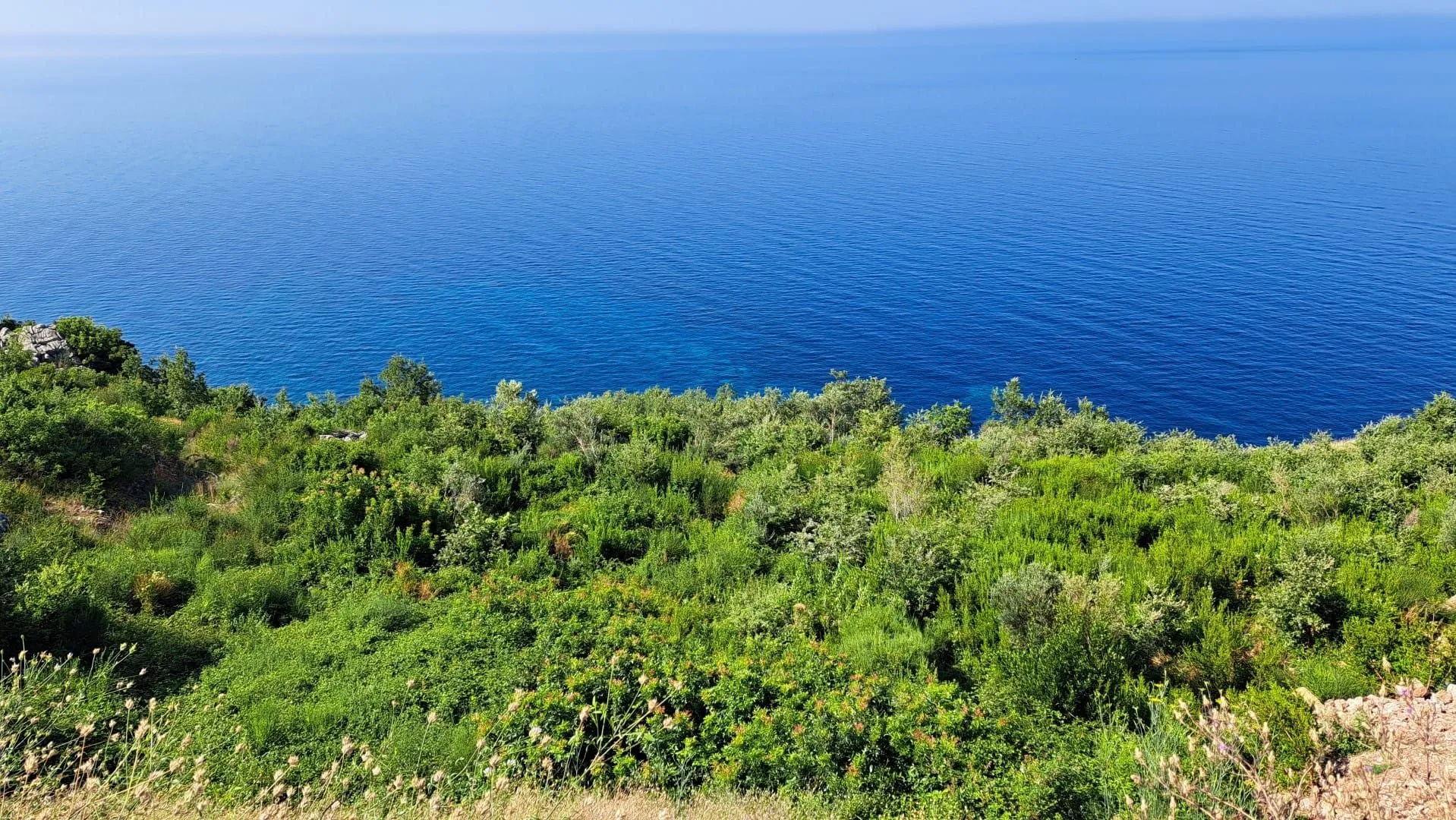 Prodaja, plac, 1458m², Skočiđevojka, Budva