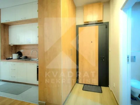 Rent, one bedroom apartment, 44m², Tološi, Podgorica - image 6