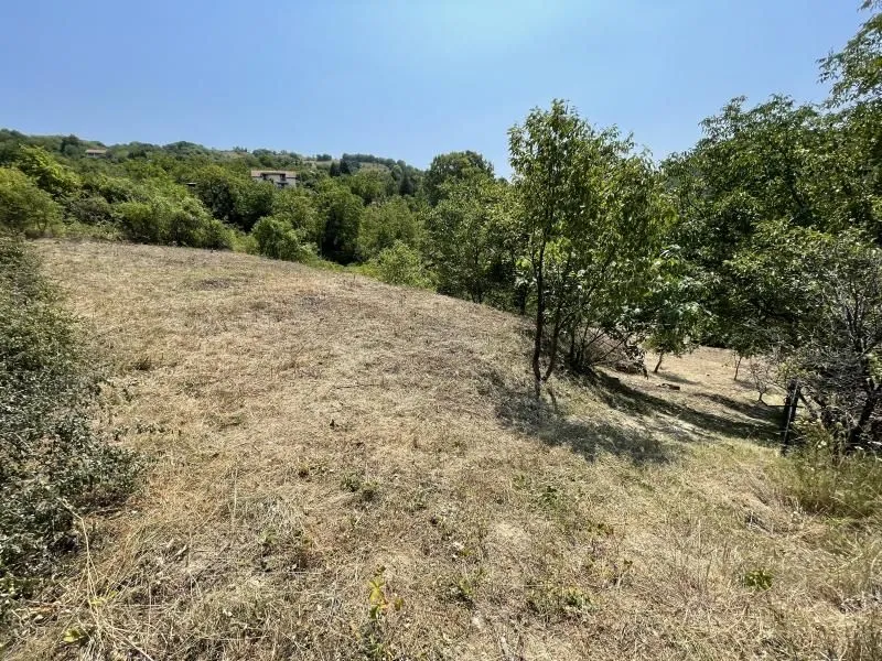 Prodaja, plac, 1500m², Rakovac, Novi Sad Sve Podlokacije