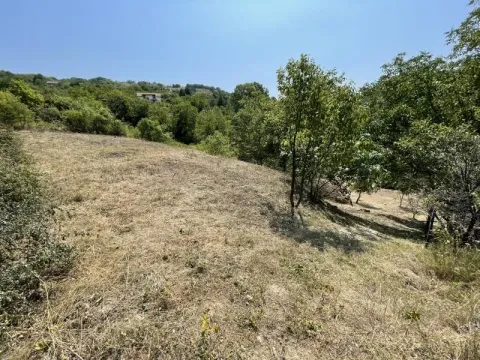 Prodaja, plac, 1500m², Rakovac, Novi Sad Sve Podlokacije - image 10