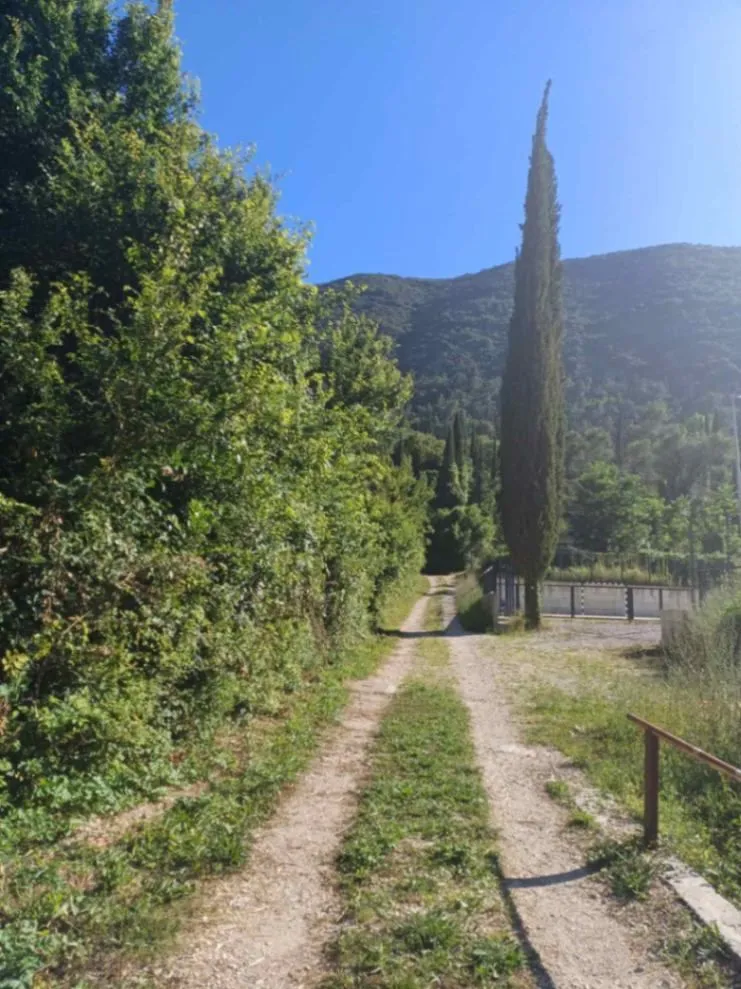 Prodaja, plac, 1677m², Sutorina, Herceg Novi