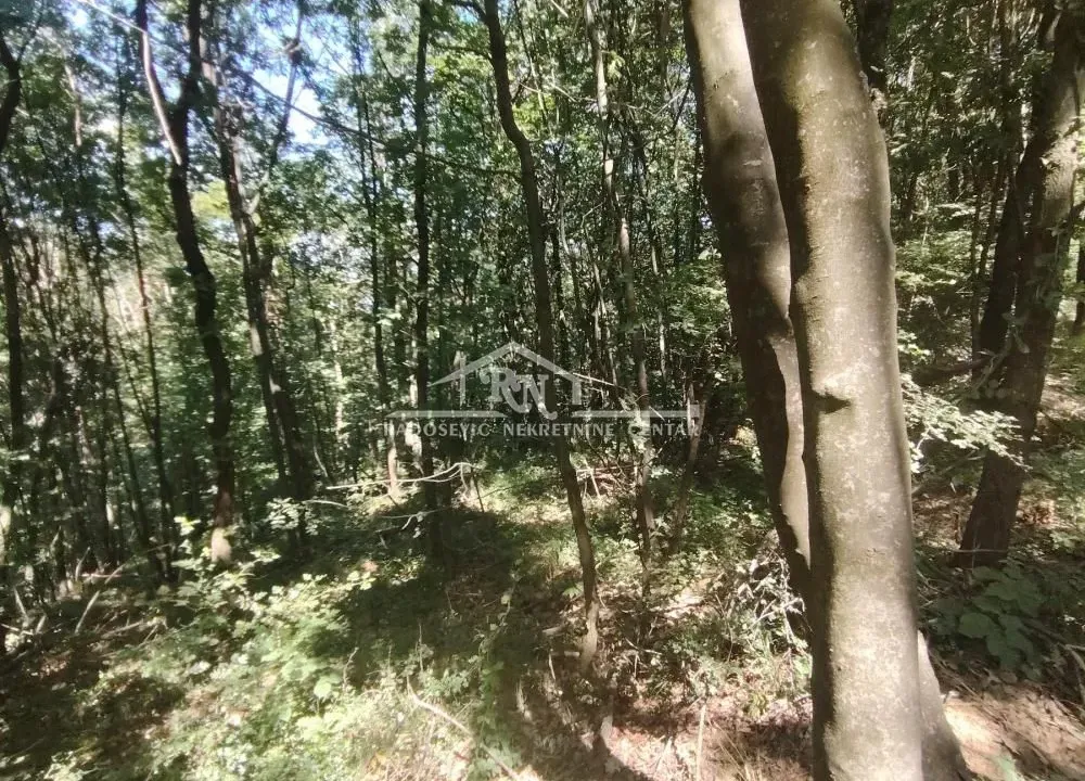 Prodaja, plac, 1800m², Sopot, Beograd