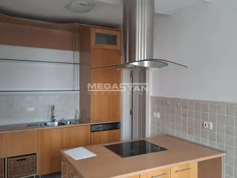 Izdavanje, četvorosoban stan, 203m², Vračar Hram, Vračar Sve Podlokacije - image 12