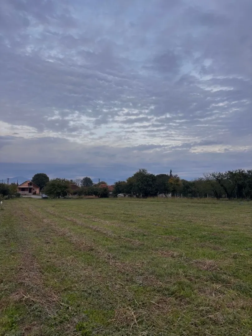 Pogled na prostrano zeleno zemljište sa kućom i drvećem u pozadini.
