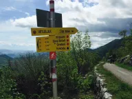 Prodaja, plac, 10000m², Cetinje, Crna Gora - image 6