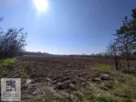 Prodaja, kuća, 65m², Obrenovac, Beograd - image 12