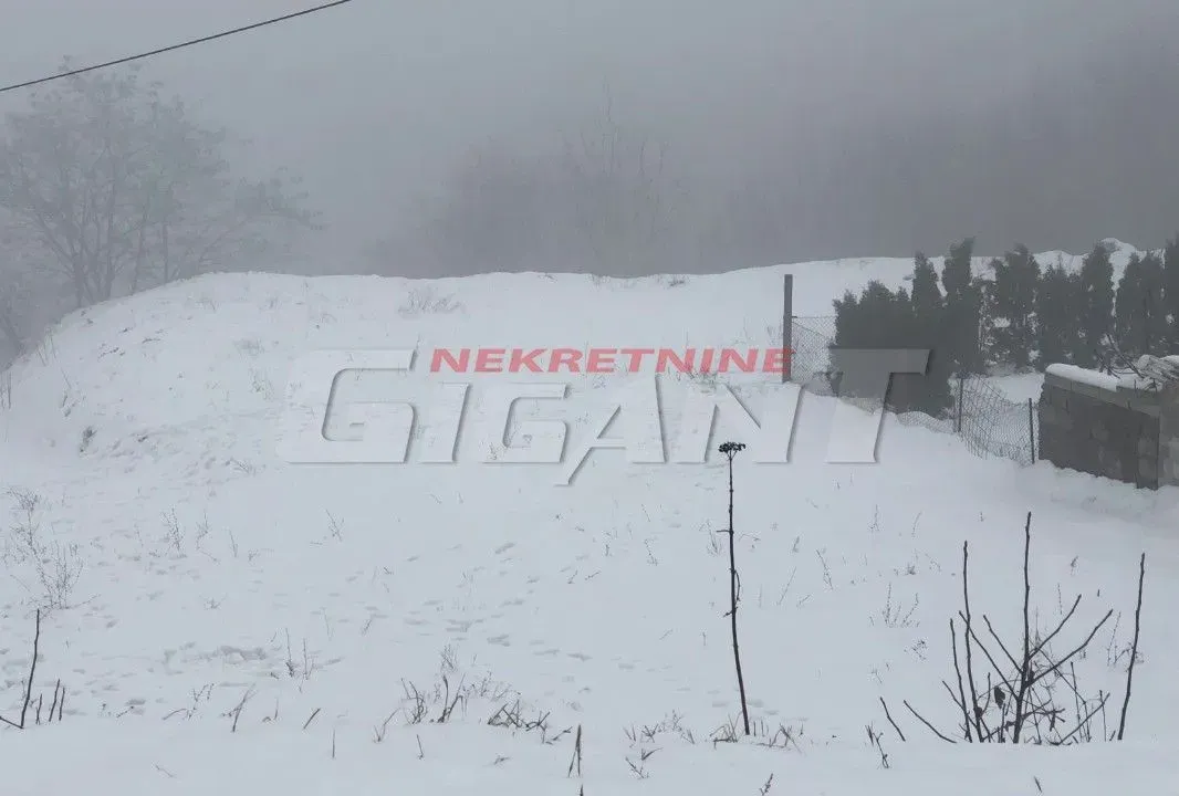 Sale, land lot, 2000m², Voždovac Sve Podlokacije, Beograd