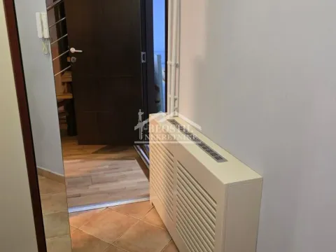 Rent, two bedroom apartment, 60m², Južni Bulevar, Vračar Sve Podlokacije - image 9