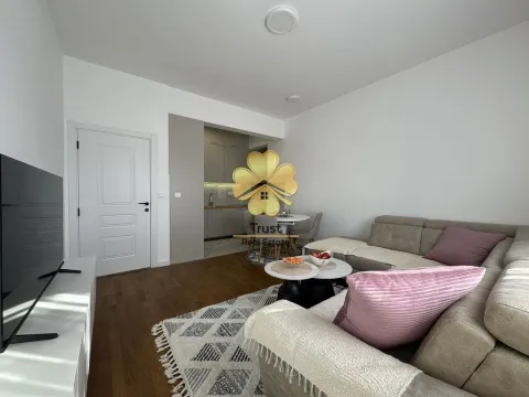 Izdavanje, jednosoban stan, 50m², Zabjelo, Podgorica - image 2