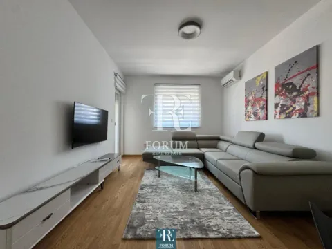 Izdavanje, jednosoban stan, 47m², Stari Aerodrom, Podgorica