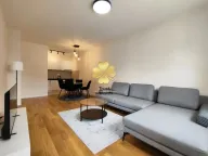 Izdavanje, jednosoban stan, 50m², Central Point, Podgorica - image 1