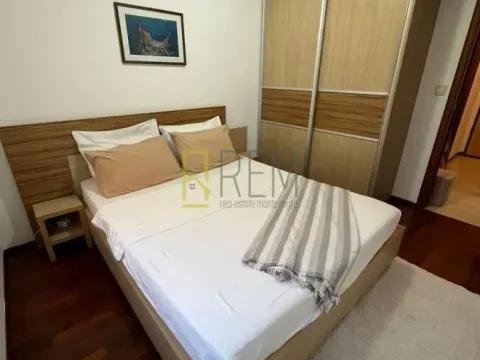 Izdavanje, jednosoban stan, 43m², Stari Aerodrom, Podgorica - image 2