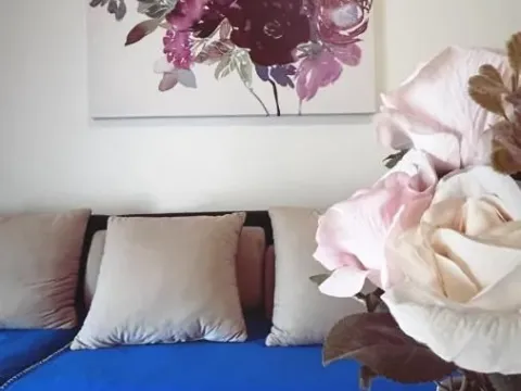 Rent, one bedroom apartment, 43m², Grbavica, Novi Sad Sve Podlokacije - image 5