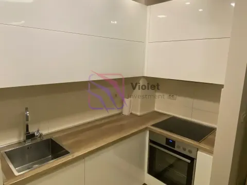 Izdavanje, jednosoban stan, 47m², City Kvart, Podgorica - image 10