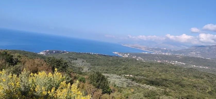 Prodaja, plac, 10000m², Bar, Crna Gora