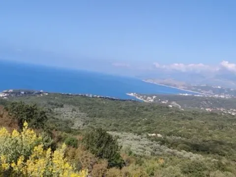 Prodaja, plac, 10000m², Bar, Crna Gora - image 3
