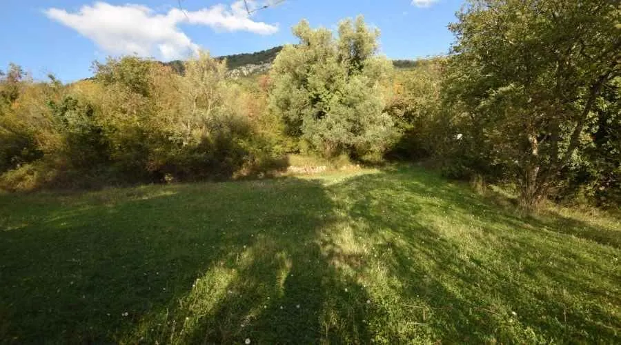 Zeleni plac okružen drvećem i prirodom.