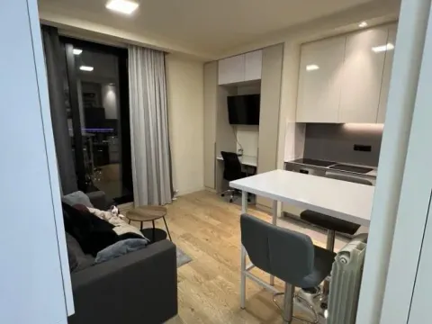 Izdavanje, jednosoban stan, 30m², Savski Venac, Beograd - image 2