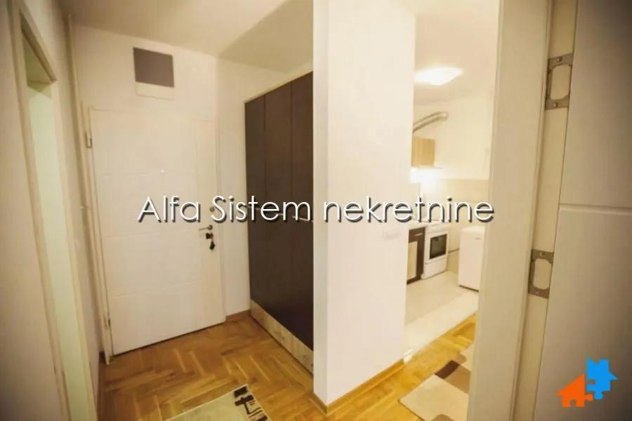 Rent, two bedroom apartment, 47m², Južni Bulevar, Vračar Sve Podlokacije