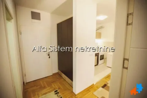Rent, two bedroom apartment, 47m², Južni Bulevar, Vračar Sve Podlokacije - image 11