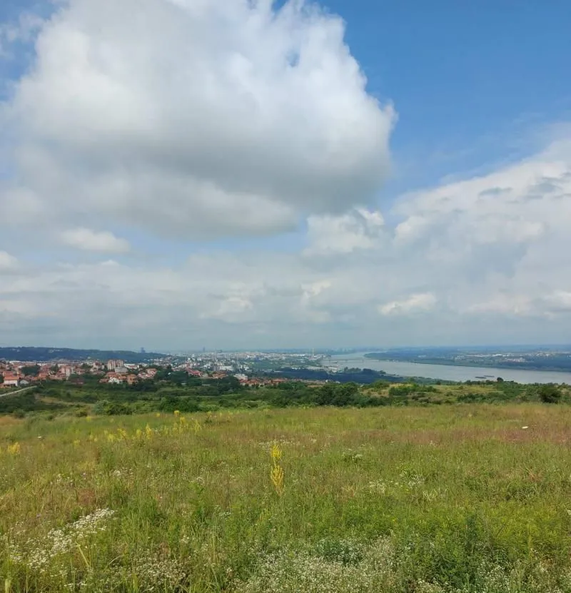 Prodaja, plac, 10000m², Višnjica, Palilula Sve Podlokacije