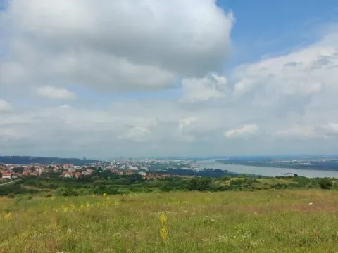 Prodaja, plac, 10000m², Višnjica, Palilula Sve Podlokacije - image 5