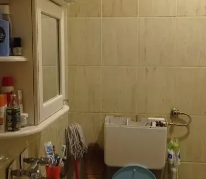 Sale, two bedroom apartment, 28m², Telep, Novi Sad Sve Podlokacije - image 10