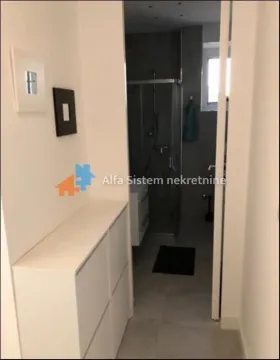 Izdavanje, dvosoban stan, 42m², Vračar Sve Podlokacije, Beograd - image 16