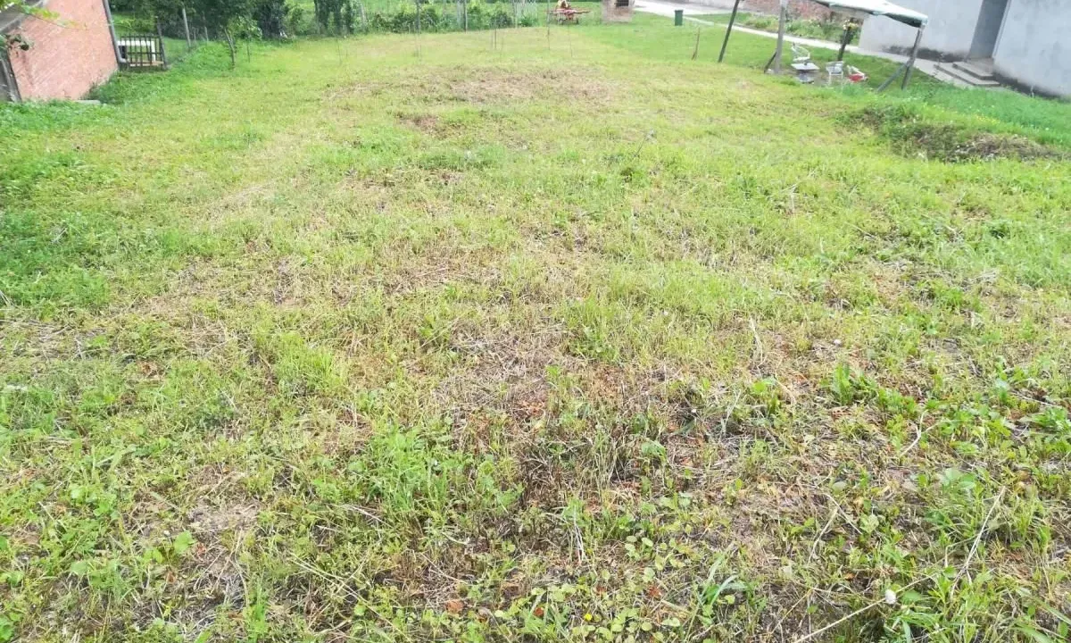 Sale, land lot, 500m², Novi Sad, Srbija