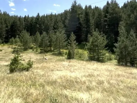 Prodaja, plac, 1485m², Borje, Žabljak - image 2