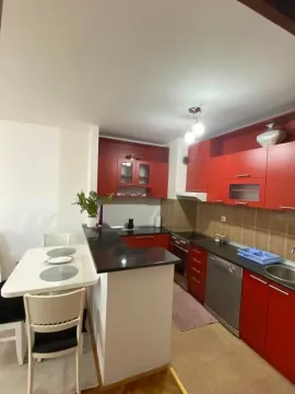 Izdavanje, jednosoban stan, 46m², Stari Aerodrom, Podgorica - image 4