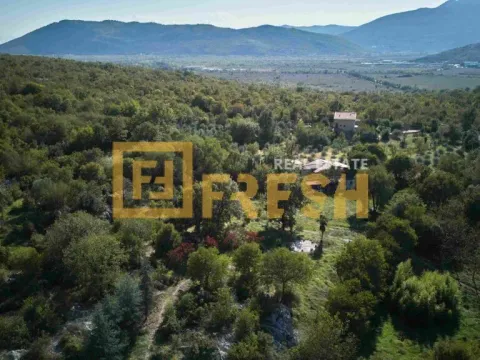 Sale, land lot, 33727m², Ostalo, Podgorica - image 9