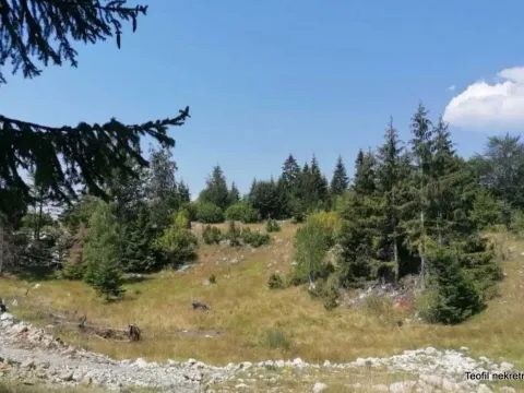 Prodaja, plac, 900m², Bajina Bašta, Srbija - image 6