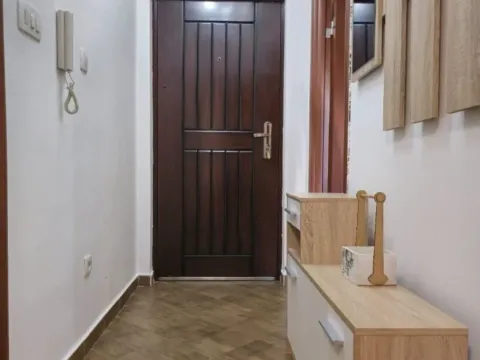 Izdavanje, jednosoban stan, 48m², Zabjelo, Podgorica - image 9