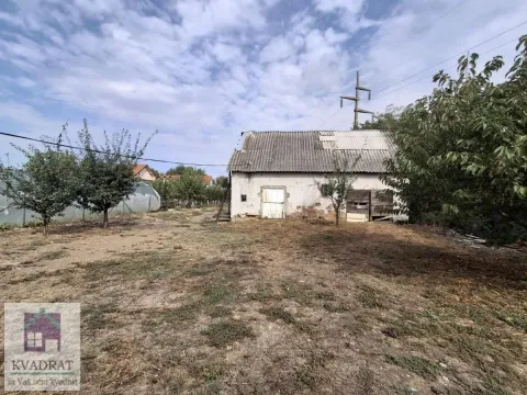 Pogled na stariju prizemnu kuću u dvorištu sa voćnjakom. - image 7