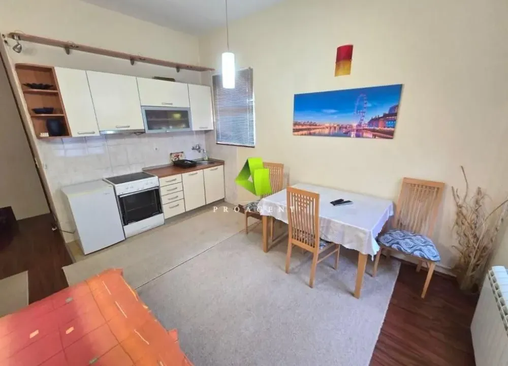 Izdavanje, kuća, 250m², Palilula, Niš