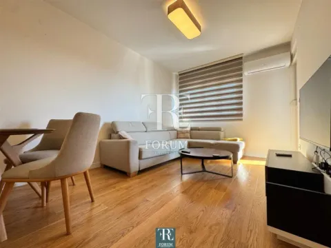 Izdavanje, jednosoban stan, 46m², Central Point, Podgorica - image 4