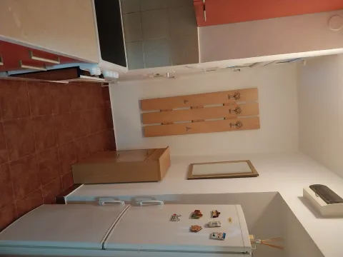 Izdavanje, jednosoban stan, 30m², Borča Sve Podlokacije, Beograd - image 3