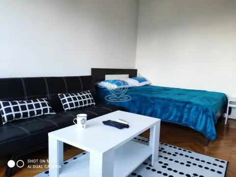 Izdavanje, jednosoban stan, 35m², Stari Grad, Beograd - image 3