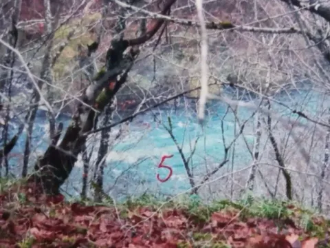 Prodaja, plac, 5000m², Brijeg, Plužine - image 6